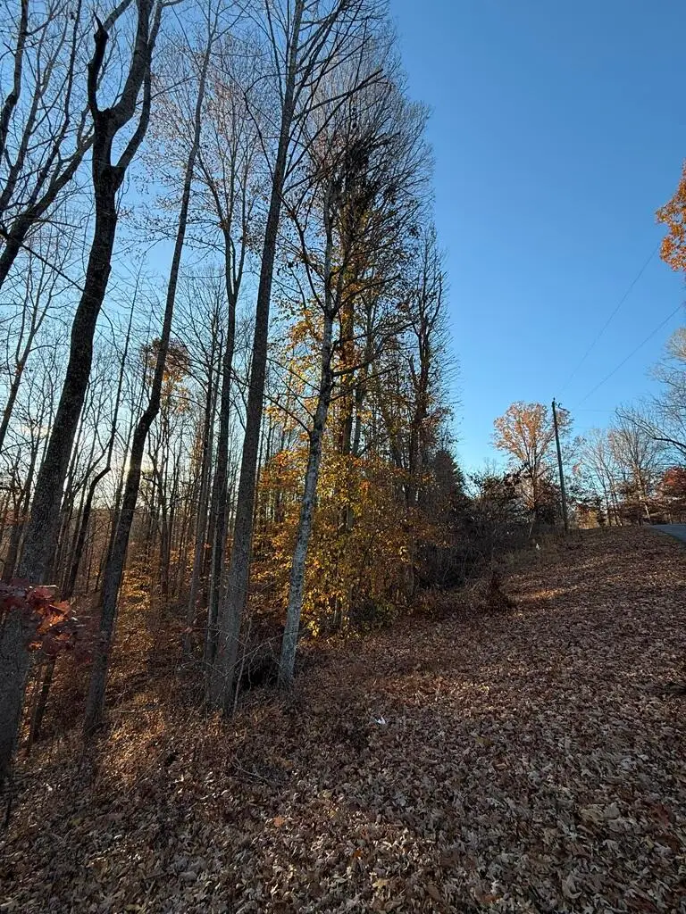 0 Columbus Dr, Bassett, VA 24055 - #2