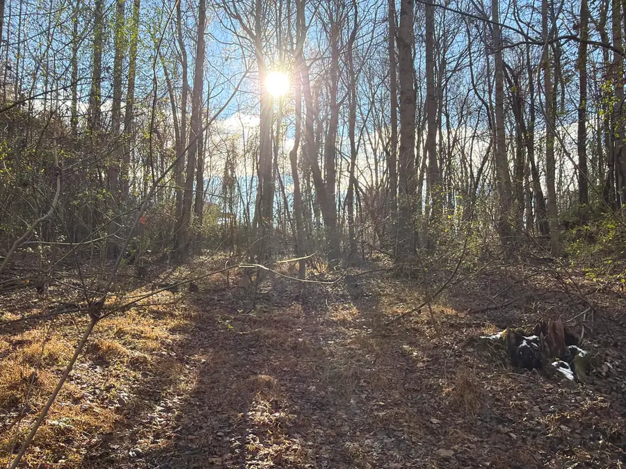 3446 Spencer Preston Rd, Martinsville, VA 24112 - #2