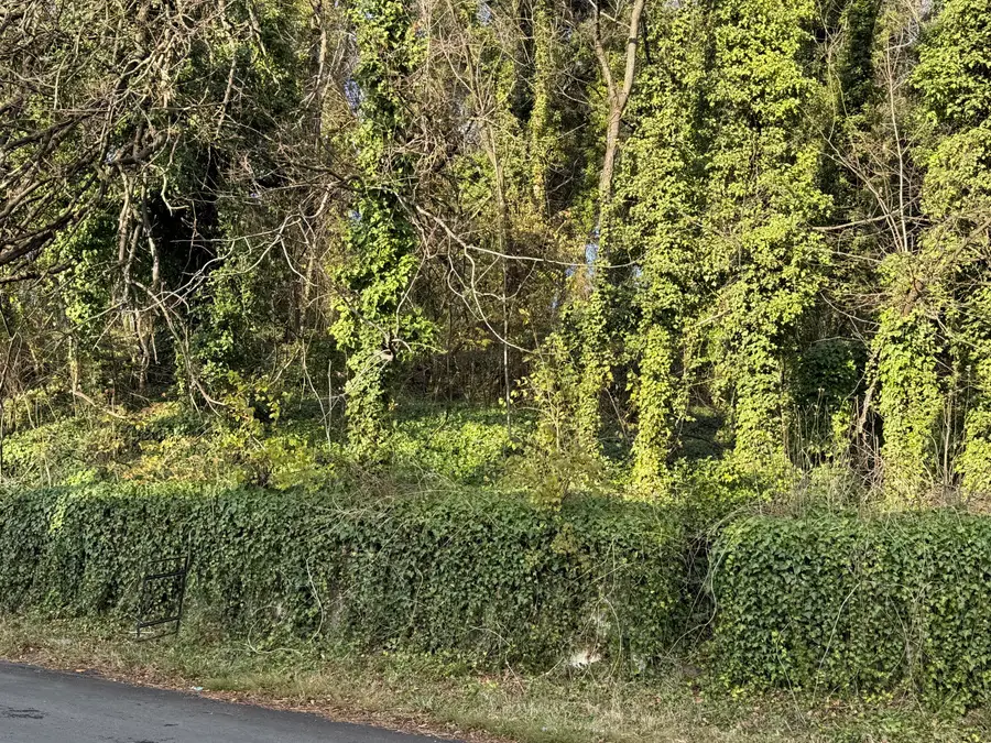 0 Moorman Ave N, Roanoke, VA 24016 - #3