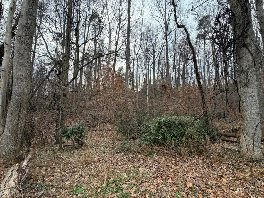 1008 Indian Trl, Martinsville, VA 24112 - #2