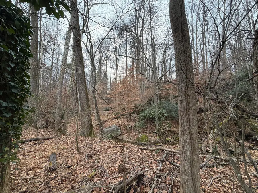 1004 Indian Trl, Martinsville, VA 24112 - #2