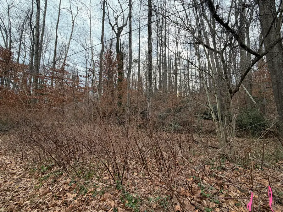 1000 Indian Trl, Martinsville, VA 24112 - #2