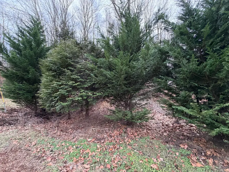 918 Indian Trl, Martinsville, VA 24112 - #2