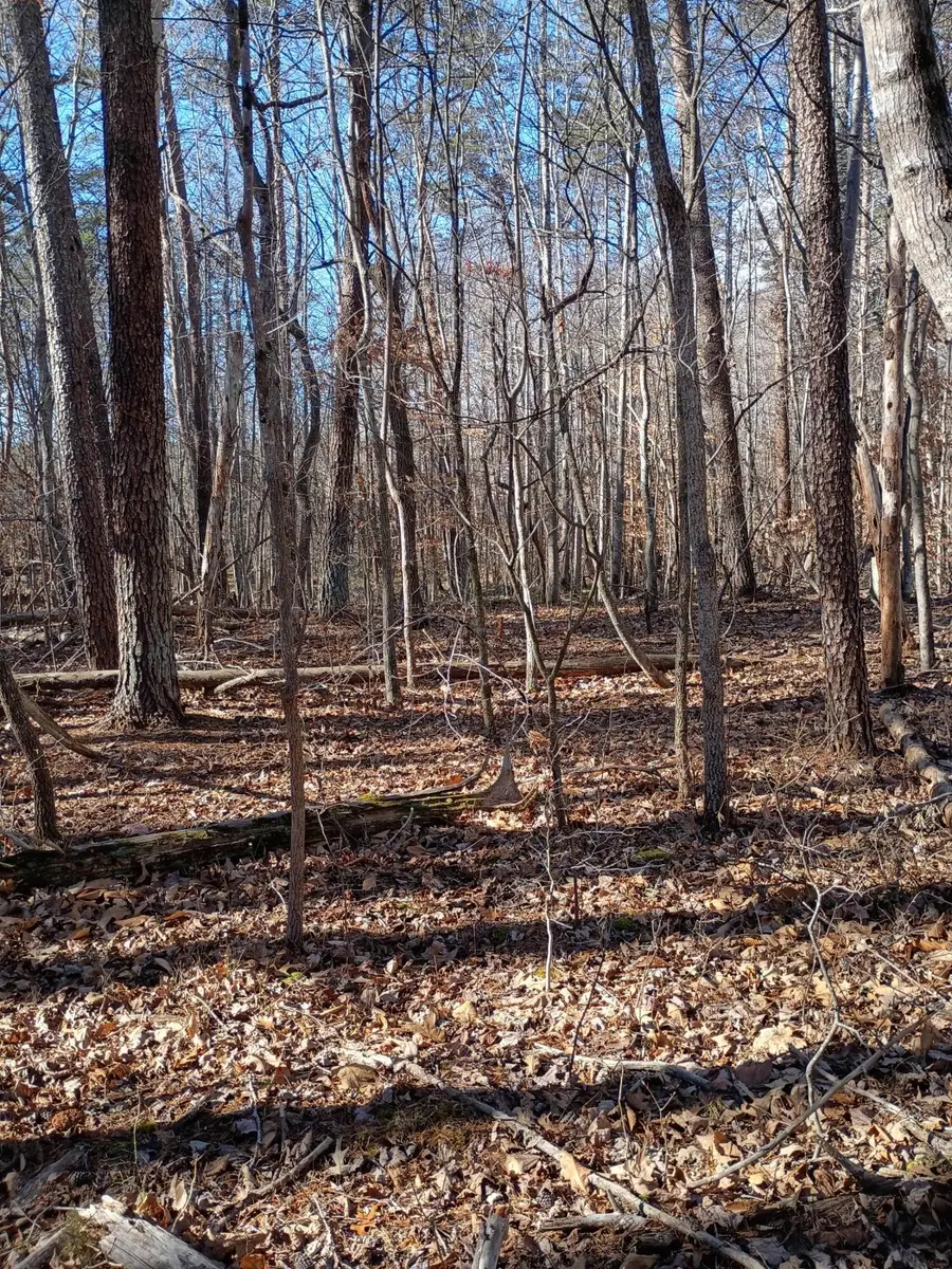 0 Lost Mountain Rd, Wirtz, VA 24184 - #2