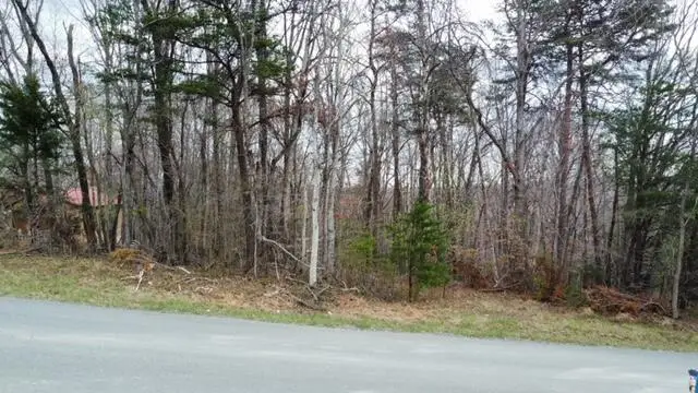 0000 Altice Mill, Rocky Mount, VA 24151 - #3