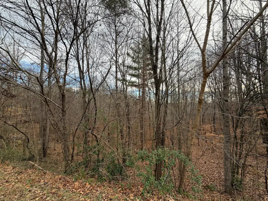 LOT 16 Bassett Heights Rd, Bassett, VA 24055 - #2