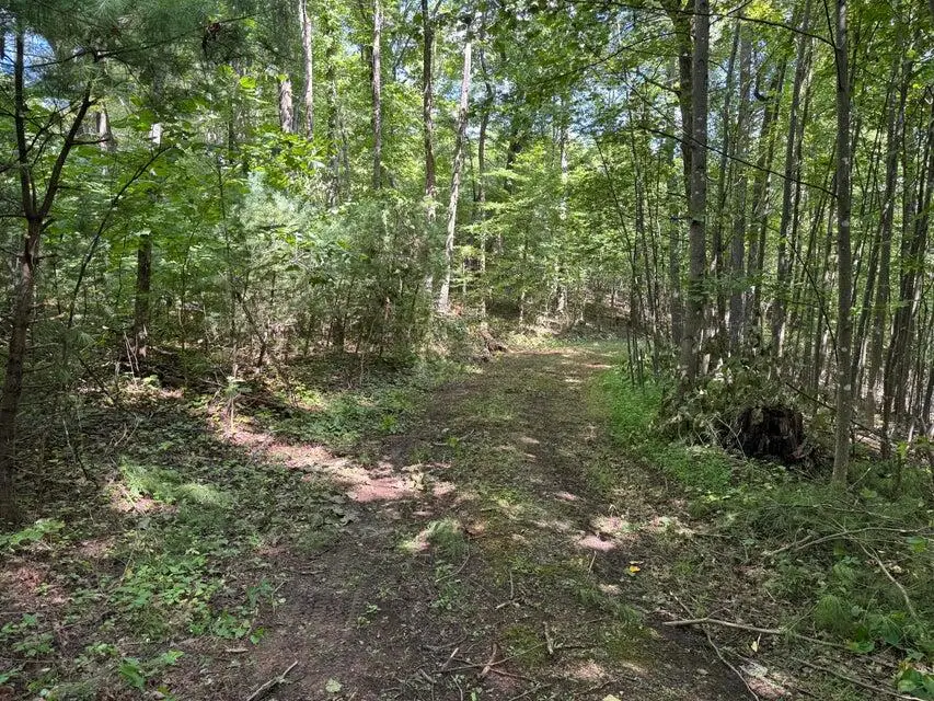 100 Foothills Rd, Callaway, VA 24067 - #3