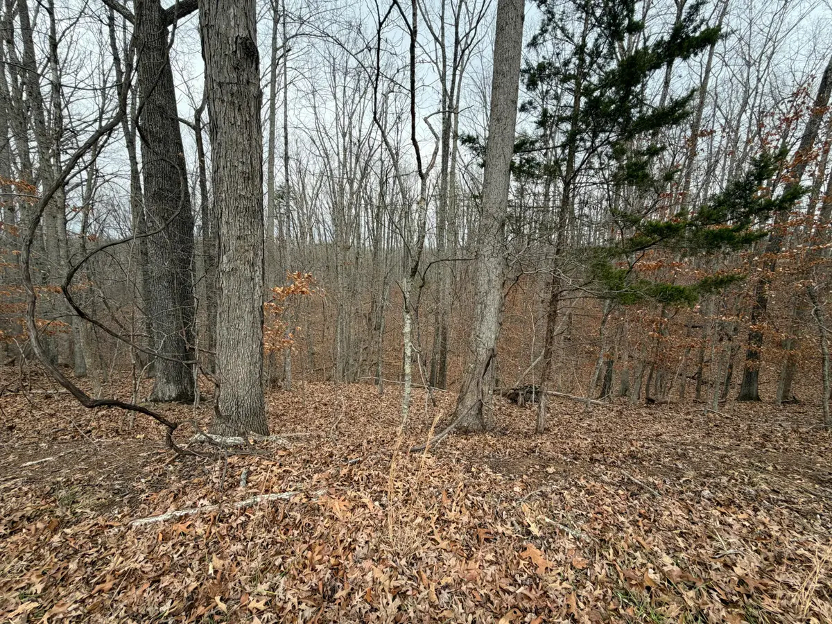 LOT 25 Oak Hollow Rd, Moneta, VA 24121 - #1