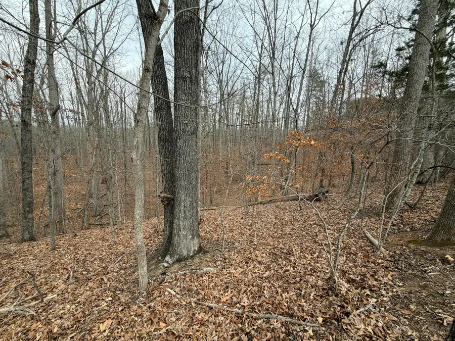 LOT 25 Oak Hollow Rd, Moneta, VA 24121 - #3