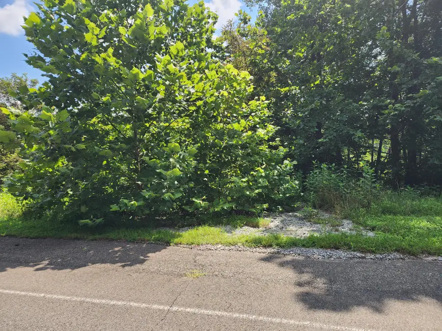 Lot 60 Lakewatch Cir, Moneta, VA 24121 - #2
