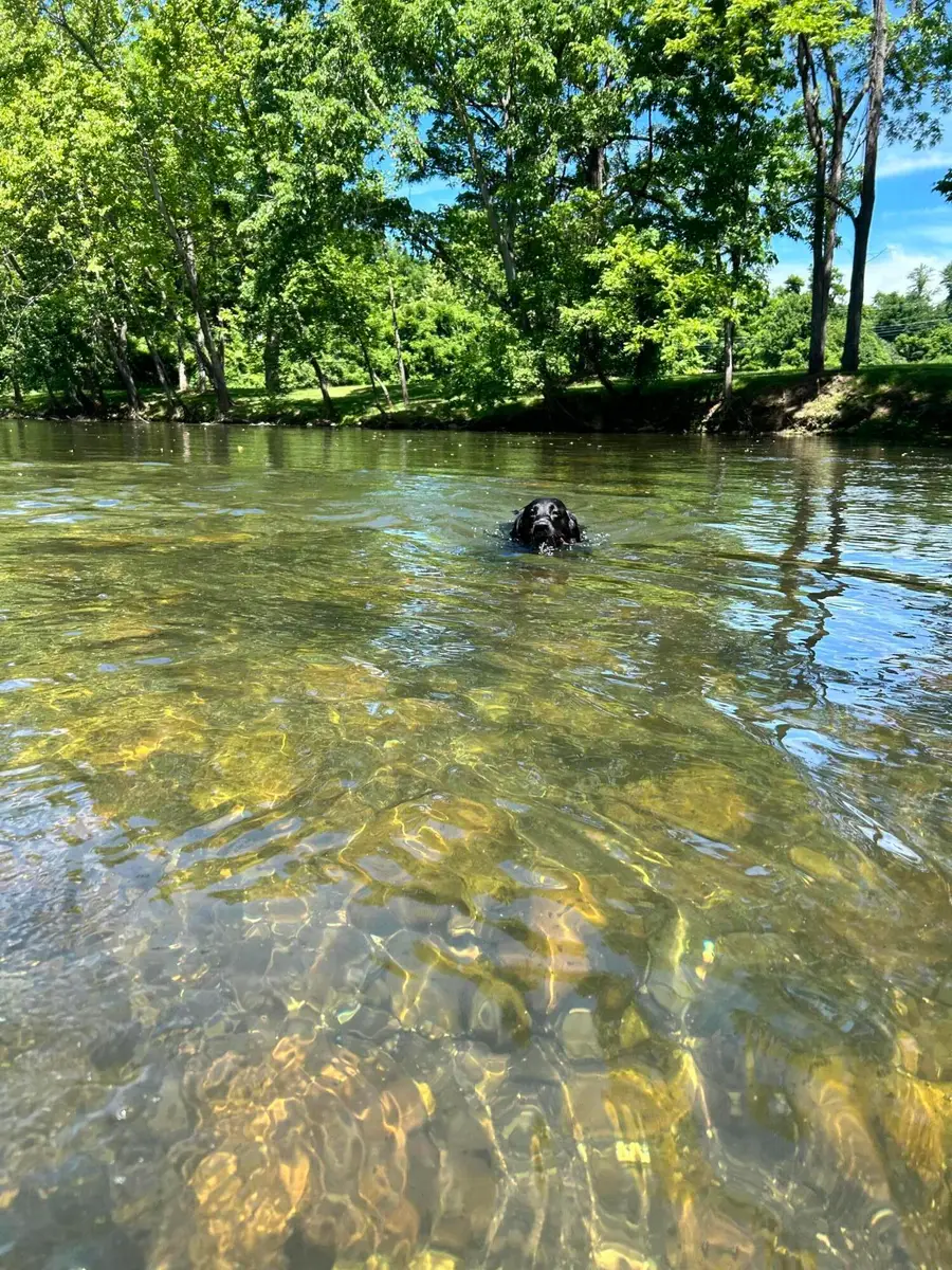 504 Dunbrack Cir, Covington, VA 24426 - #3