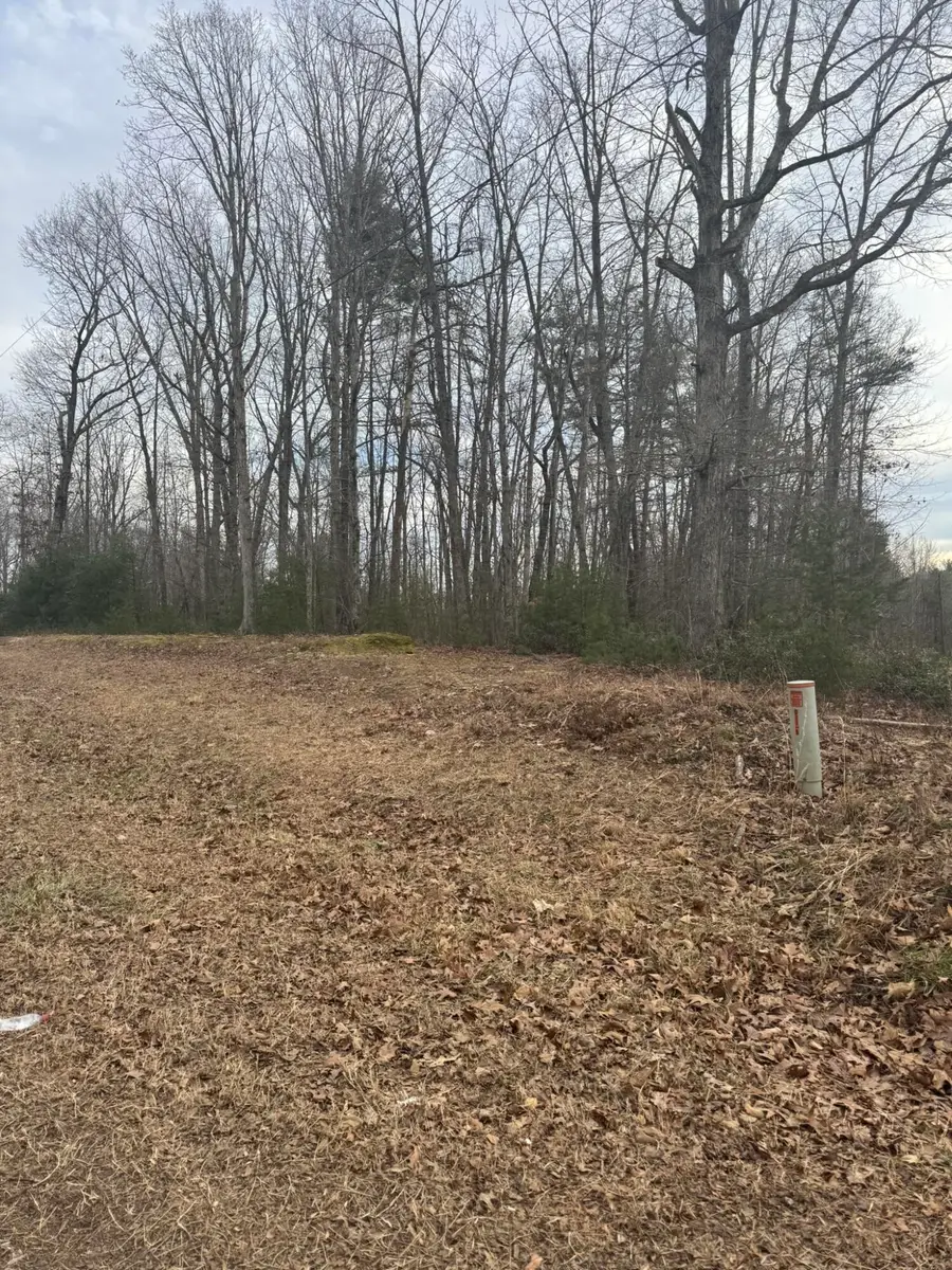 00 Henry Rd, Henry, VA 24102 - #3