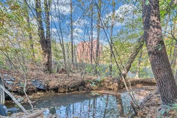 0 Six Mile Post Rd, Callaway, VA 24067 - #3