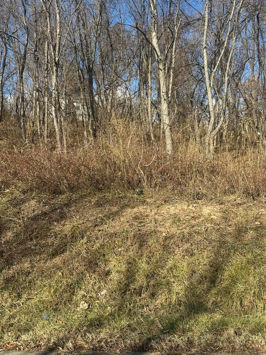 0 Vinyard Ave Ne, Roanoke, VA 24012 - #2