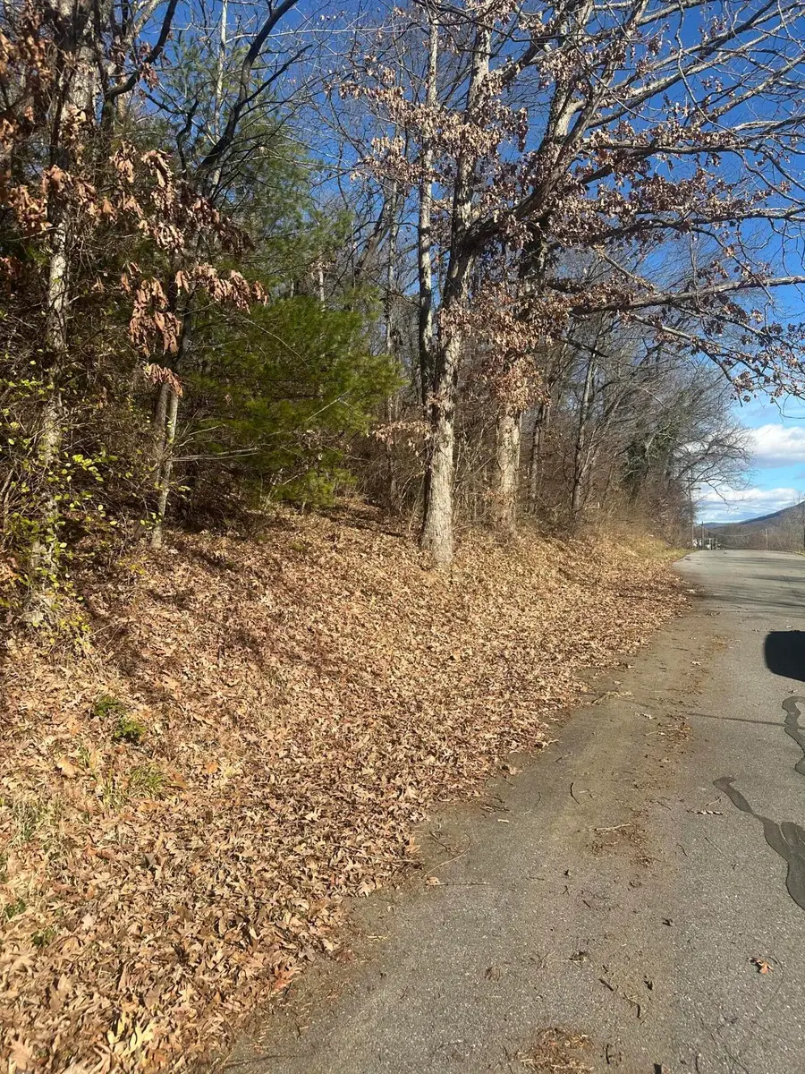 0 Vinyard Ave Ne, Roanoke, VA 24012 - #3