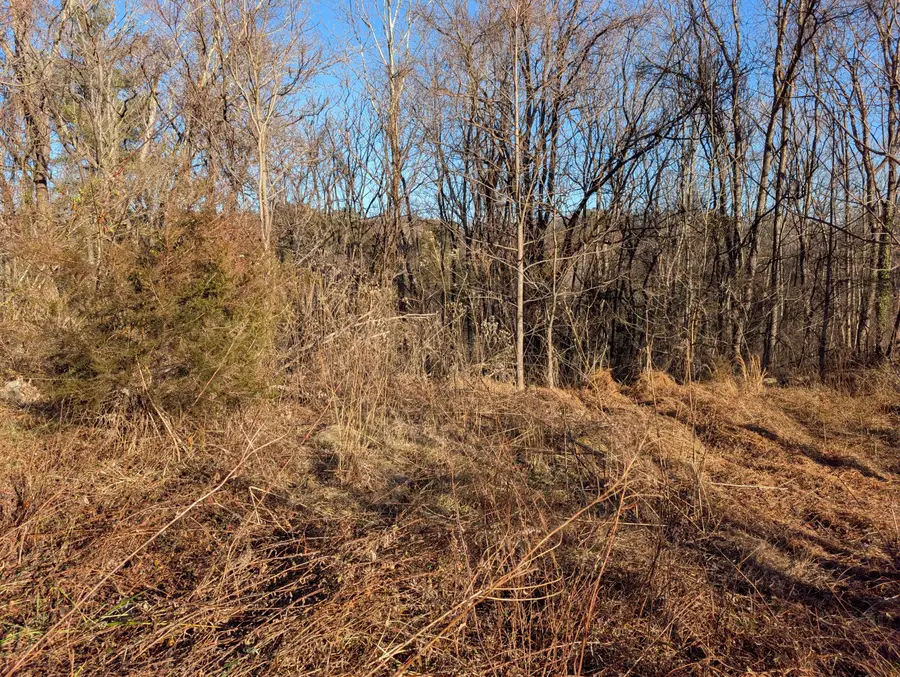 3548 Green Level Rd, Rocky Mount, VA 24151 - #3