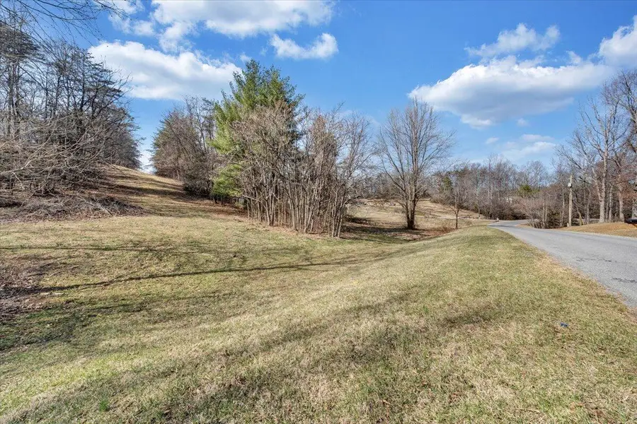 00 Woodridge Rd, Troutville, VA 24175 - #2