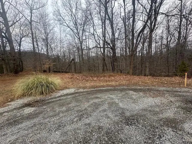 0 Ridge Dr, Goodview, VA 24095 - #3