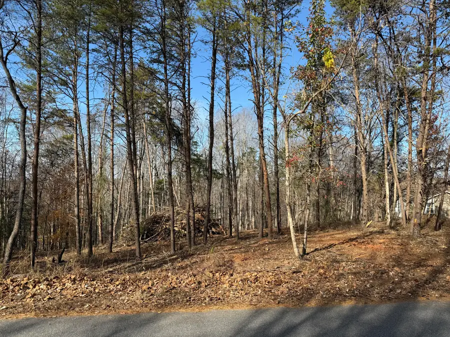 LOT 9 Tiki Terrace, Goodview, VA 24095 - #3