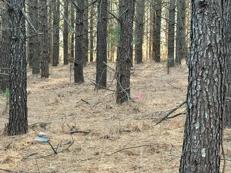 0 Dillards Hill Rd, Union Hall, VA 24176 - #2