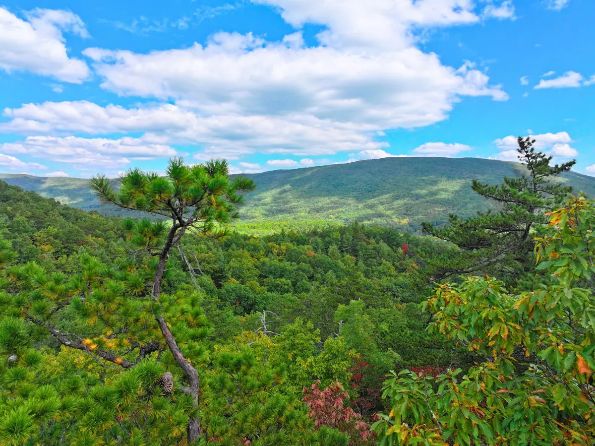 TBD Dry Gulch Rd, Wytheville, VA 24382 - #1