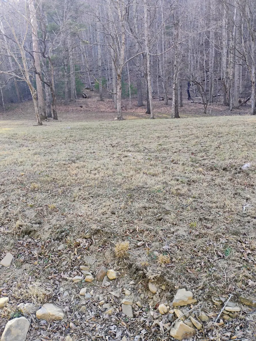 0 Miller Cove Rd, Catawba, VA 24070 - #2