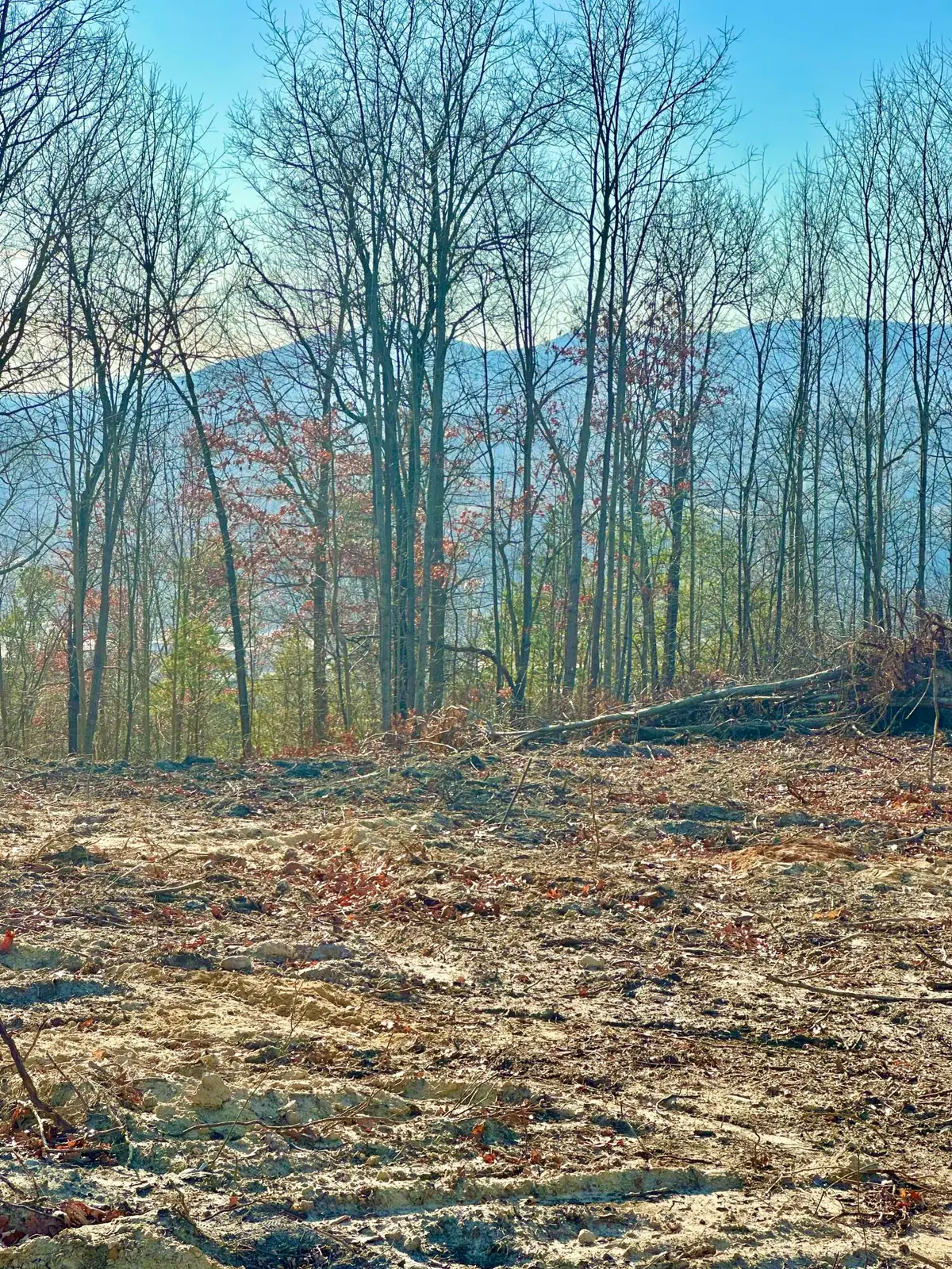0 Dry Run Overlook, Covington, VA 24426 - #1