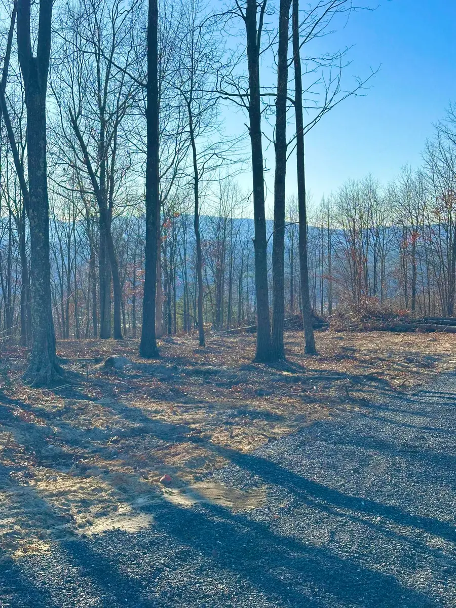 0 Dry Run Overlook, Covington, VA 24426 - #2