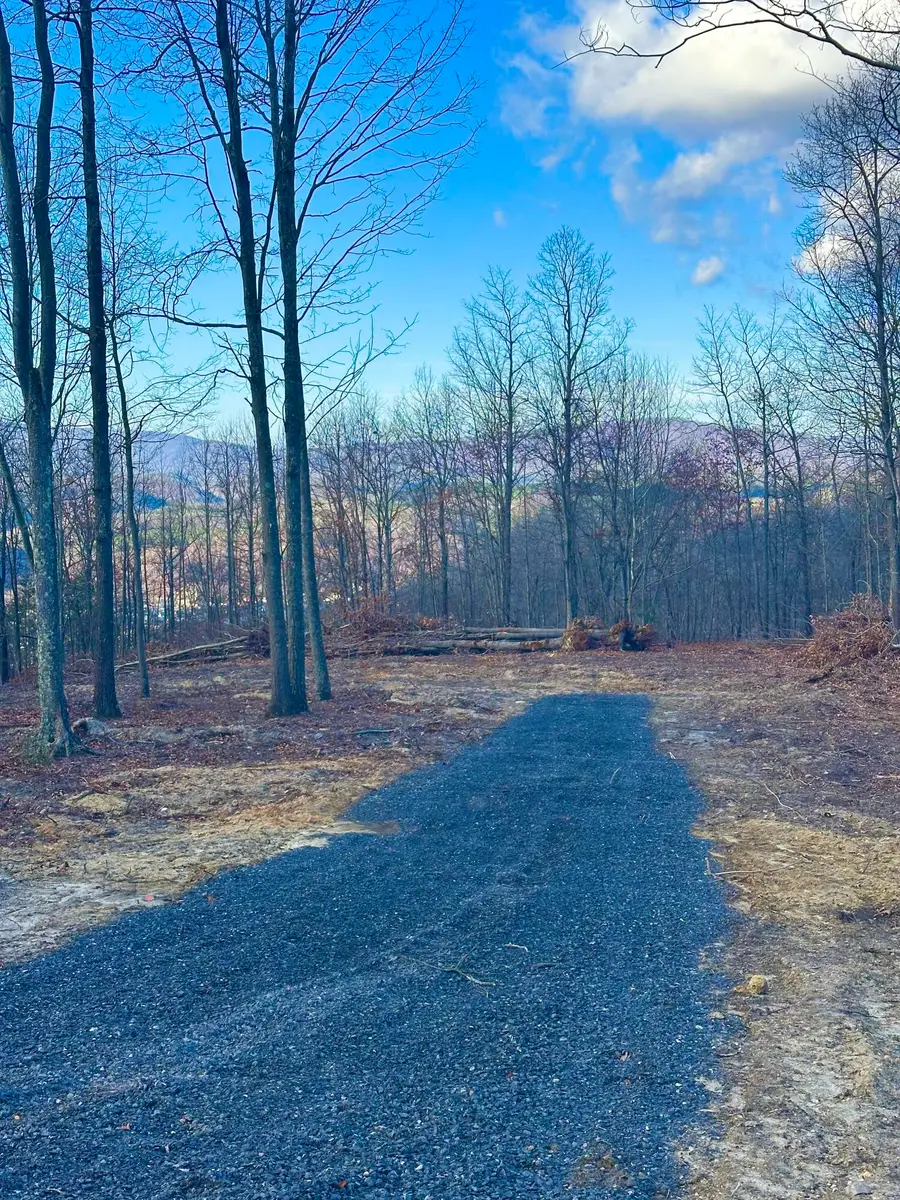 0 Dry Run Overlook, Covington, VA 24426 - #3