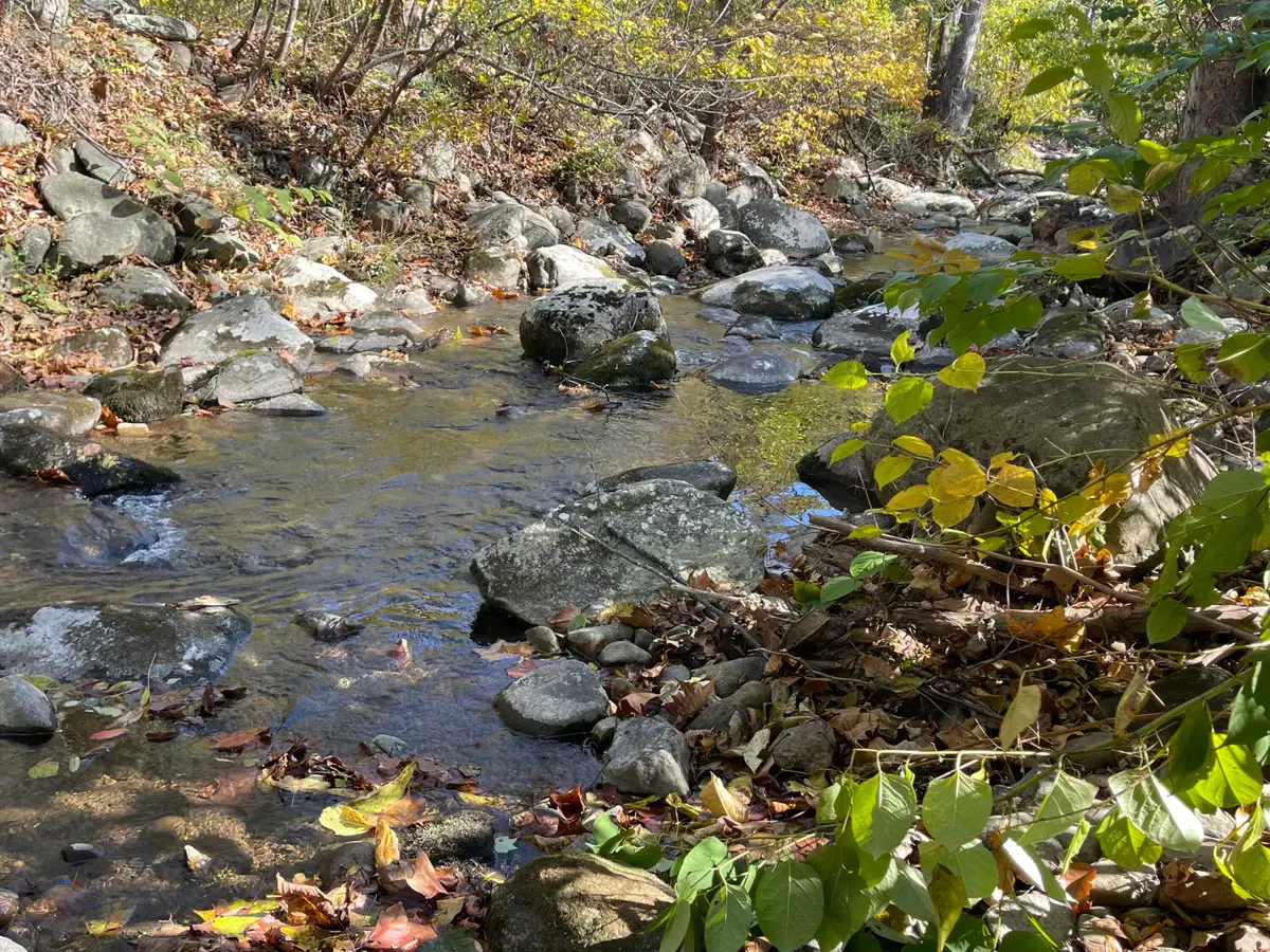 0 Hunting Creek Rd, Big Island, VA 24526 - #1