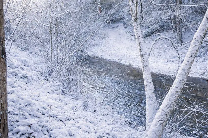 1768 Alean Rd, Wirtz, VA 24184 - #3