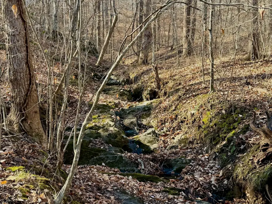 00 Walnut Ln, Lynchburg, VA 24504 - #3