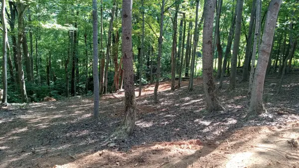 0 Leeward Dr, Moneta, VA 24121