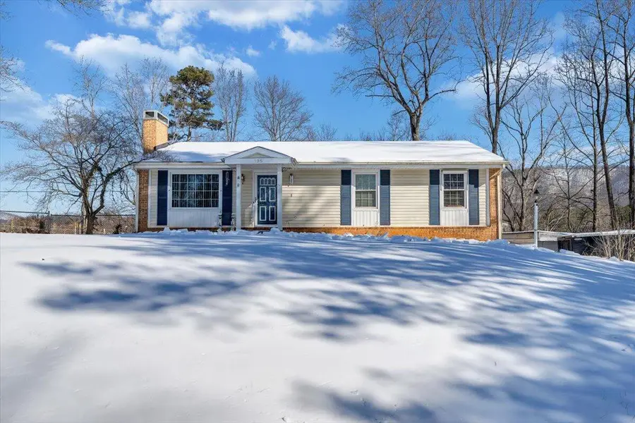 135 Silverbirch Dr, Blue Ridge, VA 24064 - #2