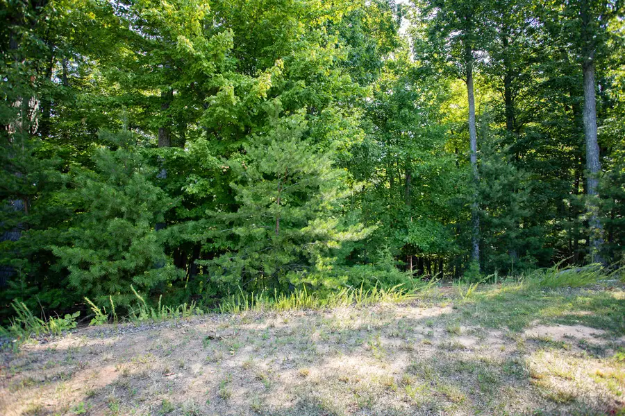 Lot 1 Sweetwater Bay Dr, Penhook, VA 24137 - #2