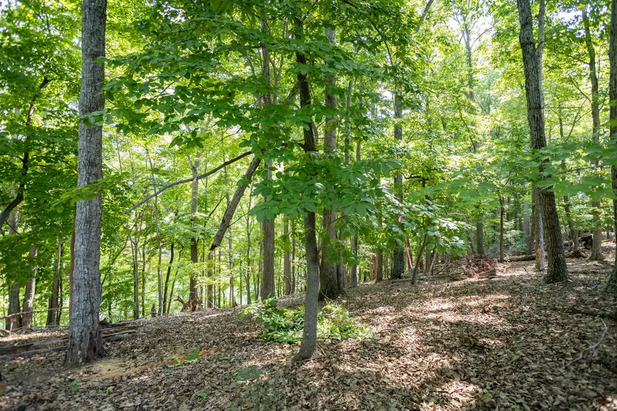 Lot 1 Sweetwater Bay Dr, Penhook, VA 24137 - #3