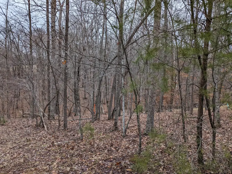 0 Stoney Mill Rd, Rocky Mount, VA 24151 - #3