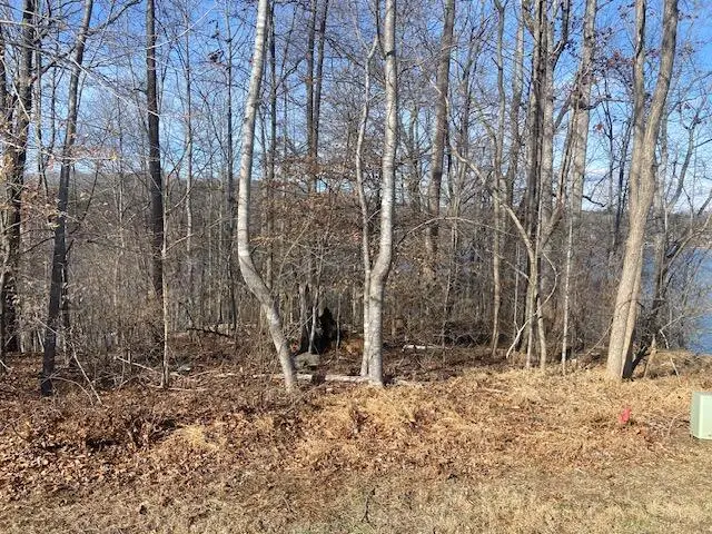 Lot 11 Waterway Point, Goodview, VA 24095 - #3