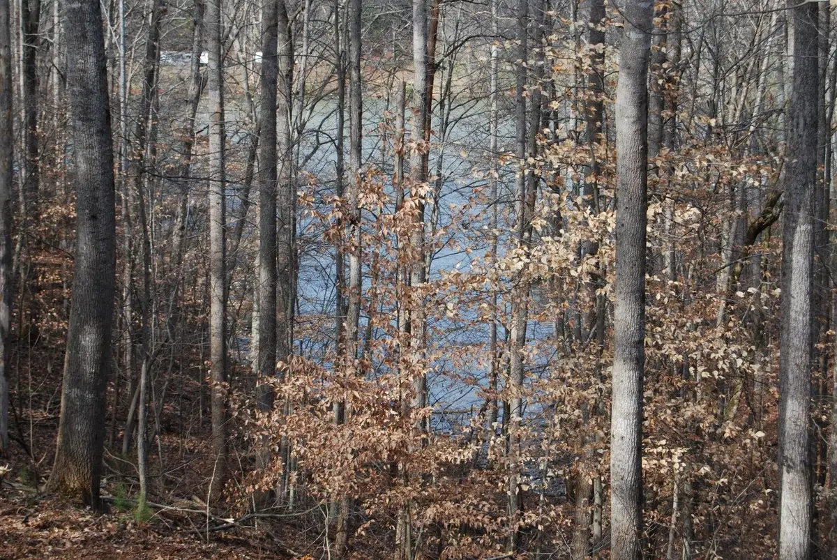 Lot 10 Lake Knoll Rd, Union Hall, VA 24176 - #1