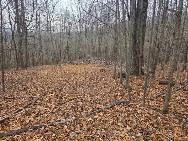0 Hickory Falls Rd, Blue Ridge, VA 24064
