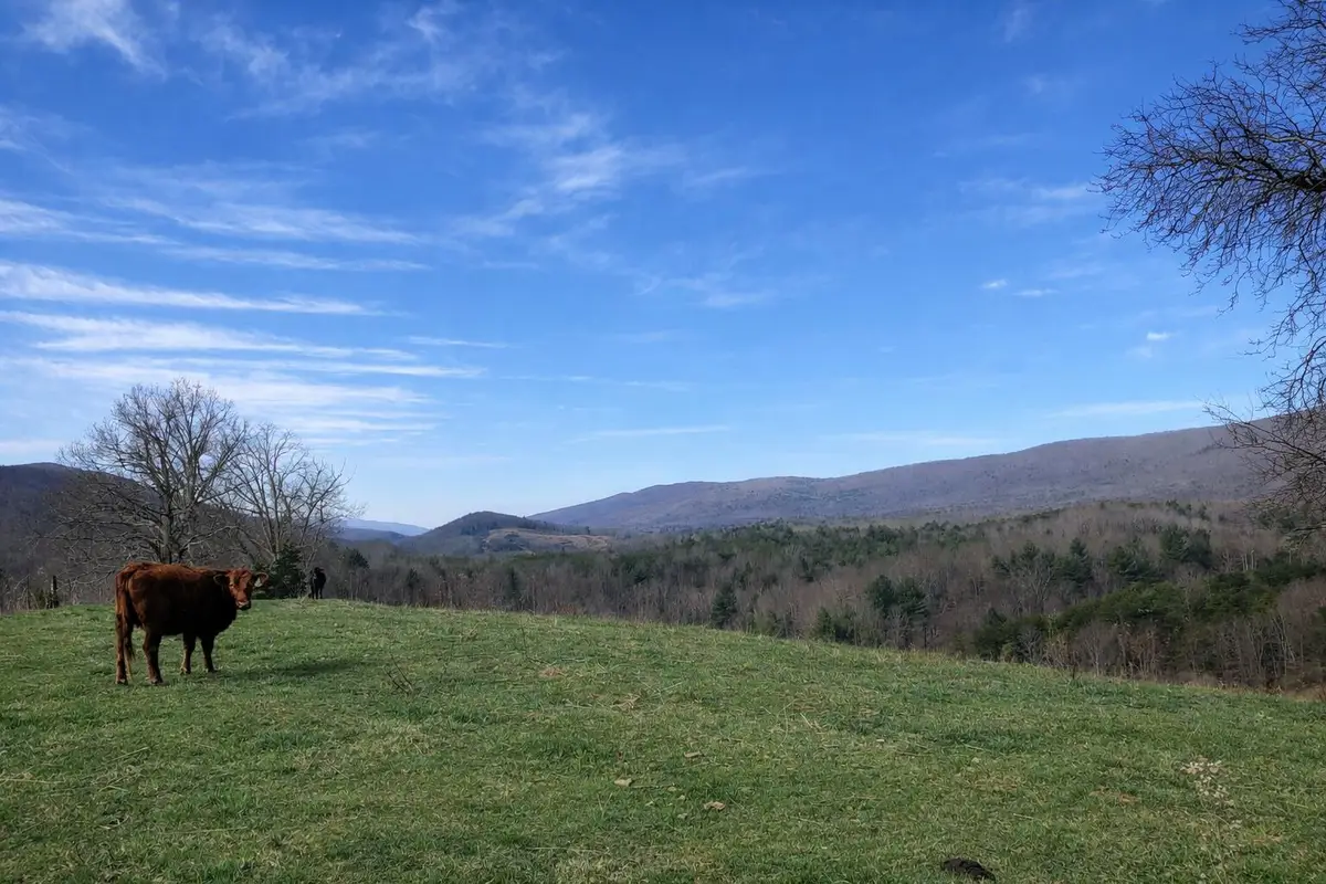 0000 Wolfe Rd, Covington, VA 24426 - #1