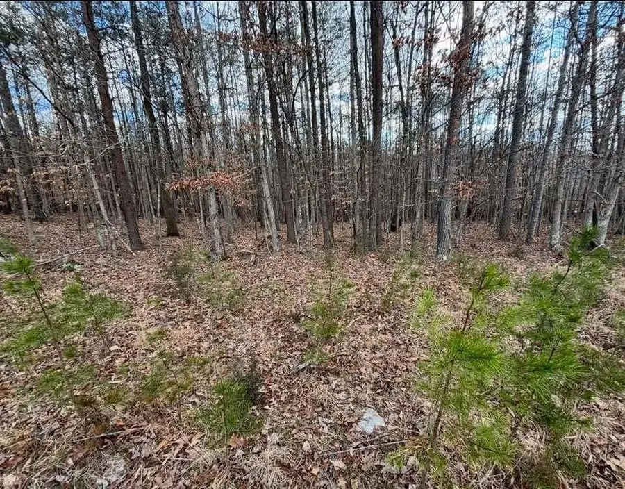 Lot 13 Tarragon Way, Moneta, VA 24121 - #3