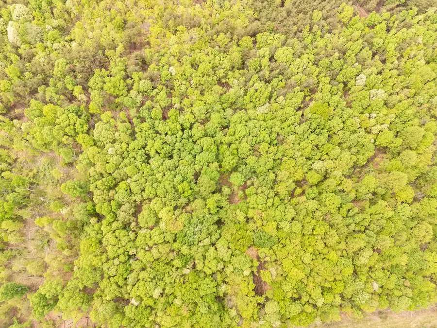 0 N Main St, Rocky Mount, VA 24151 - #3