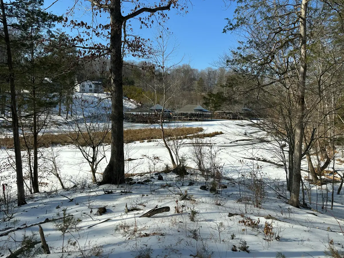 Lot 42 Lakewatch Cir, Moneta, VA 24121 - #1