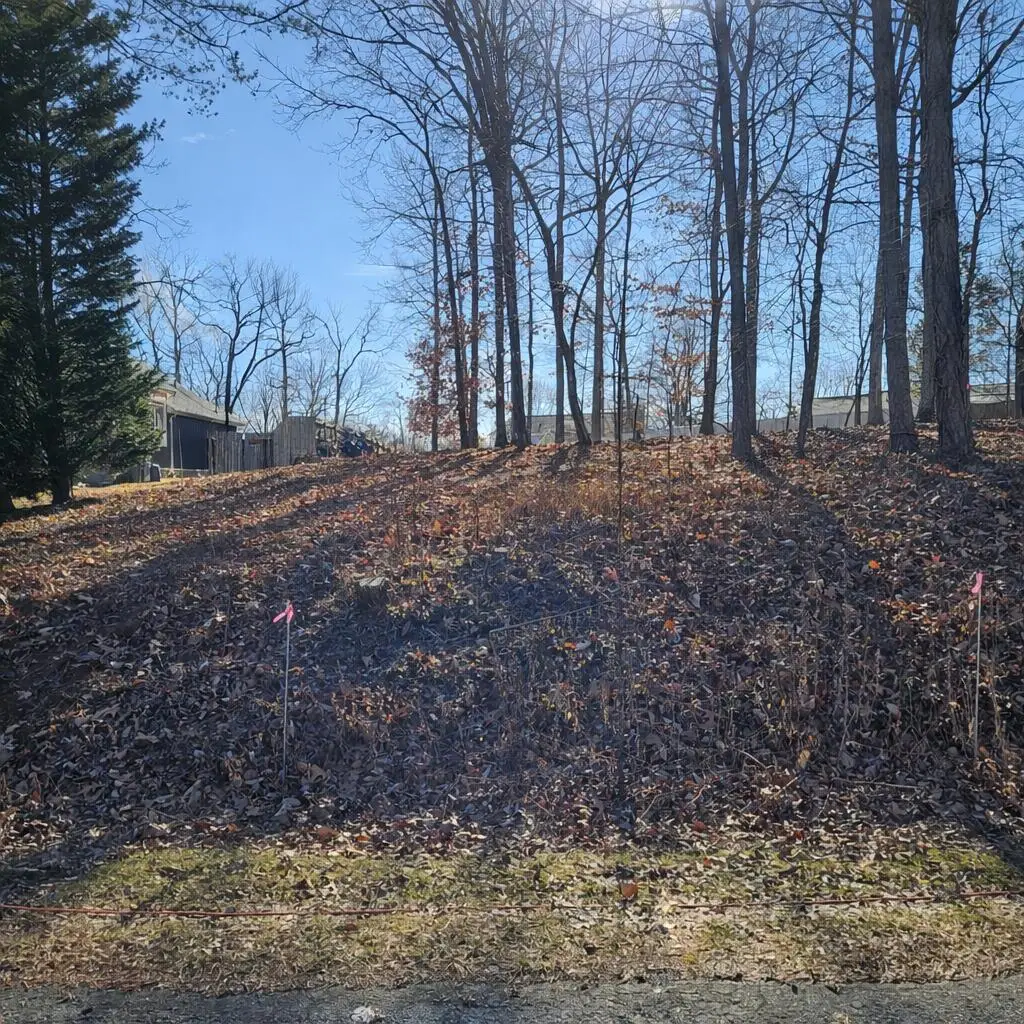 Lot 59 Macgregor Dr, Blue Ridge, VA 24064 - #1