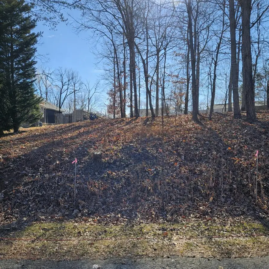Lot 59 Macgregor Dr, Blue Ridge, VA 24064 - #2
