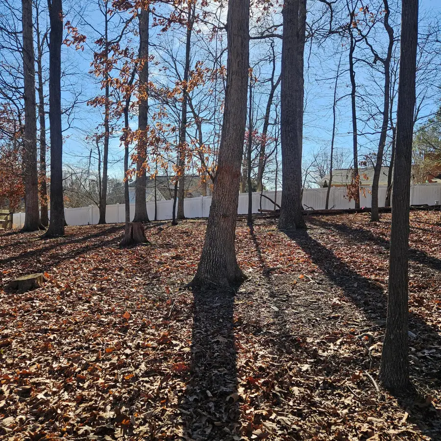 Lot 59 Macgregor Dr, Blue Ridge, VA 24064 - #3