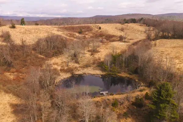 TBD Flat Top Rd, Pearisburg, VA 24134