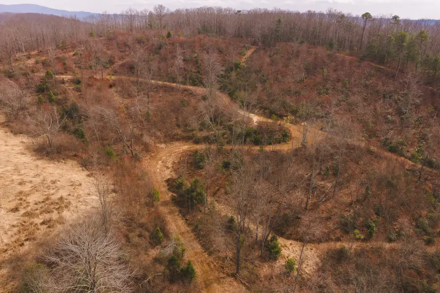 TBD Flat Top Rd, Pearisburg, VA 24134 - #3