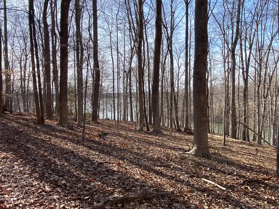 LOT 6 Clearwater Dr, Moneta, VA 24121 - #3